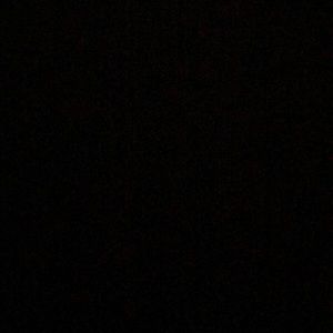 Meet your Posher, Ava